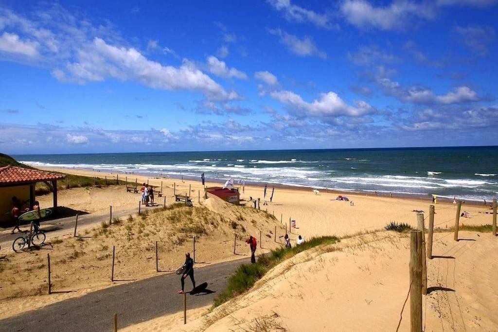 Dune Blanche 300 M De L'Ocean, Appartement Neuf 6 Personnes Seignosse Esterno foto